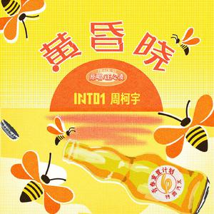 面板搜索小鲤导航
