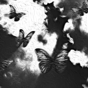 面板搜索小鲤导航
