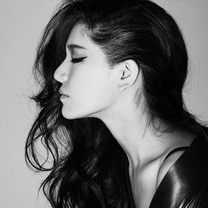 面板搜索小鲤导航
