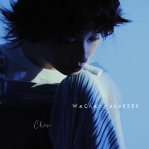 面板搜索小鲤导航
