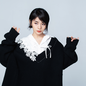 面板搜索小鲤导航
