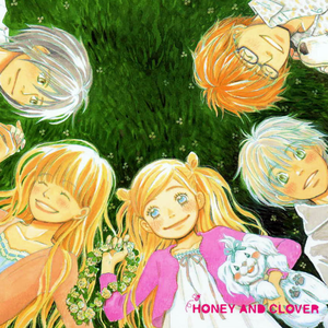 面板搜索小鲤导航
