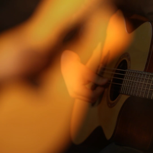 面板搜索小鲤导航
