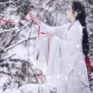 面板搜索小鲤导航
